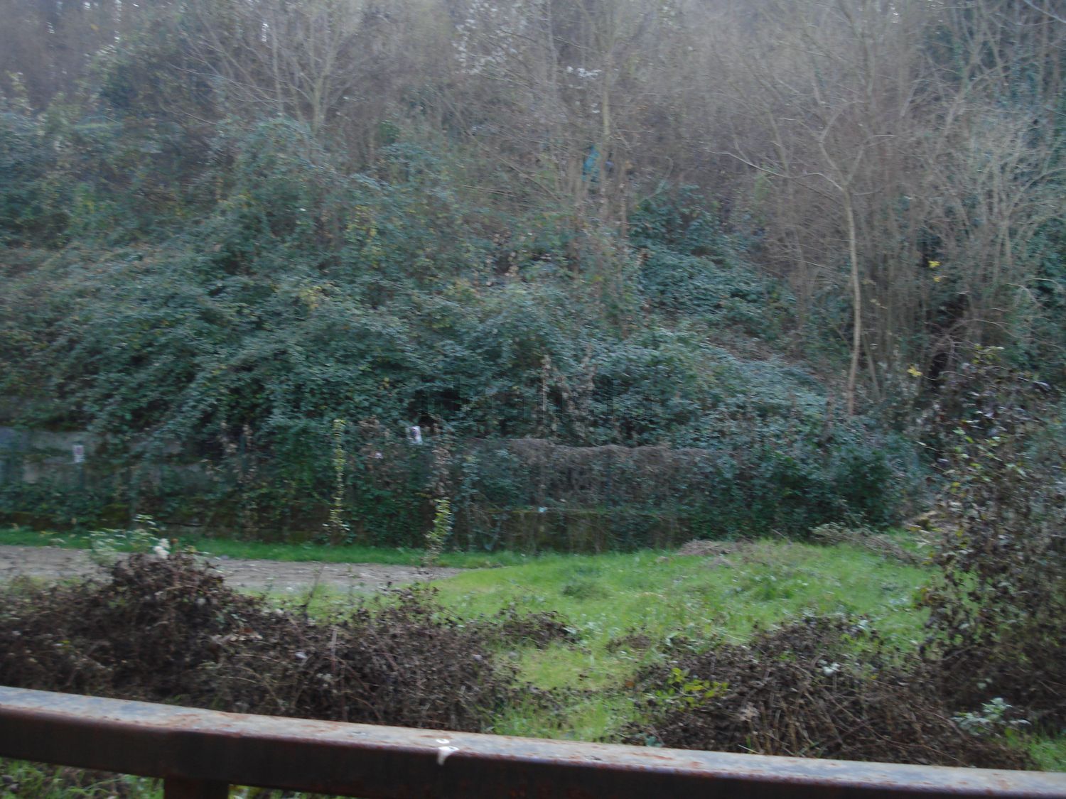Chalet independiente en Savignone
