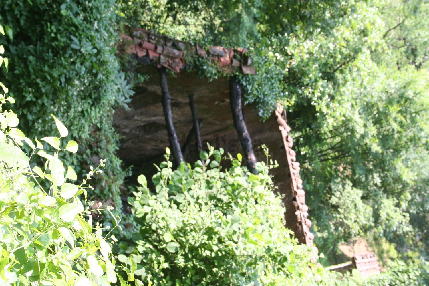 Chalet independiente en Pescaglia