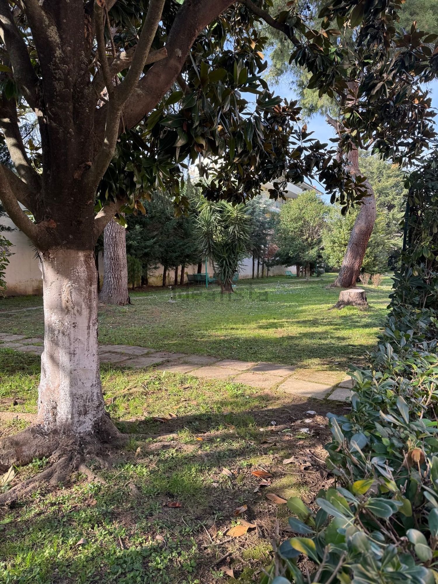 Flat in San Benedetto - Falciano - Tredici, Caserta