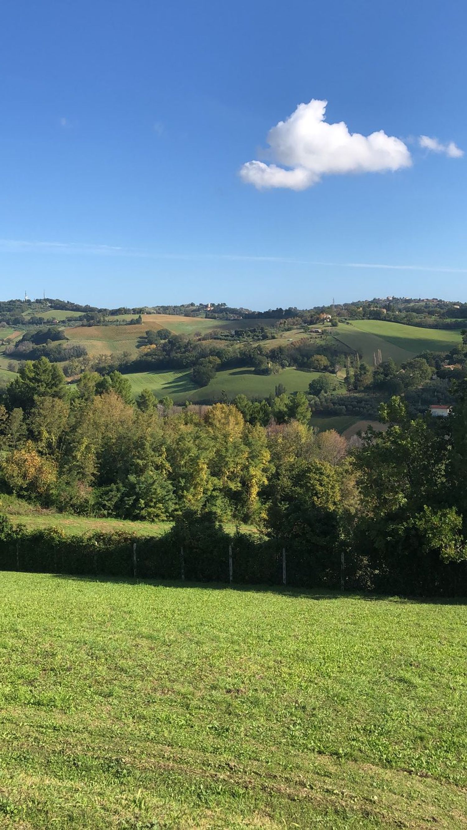 Casas o chalets en Santa Veneranda - Candelara - Novilara, Pesaro