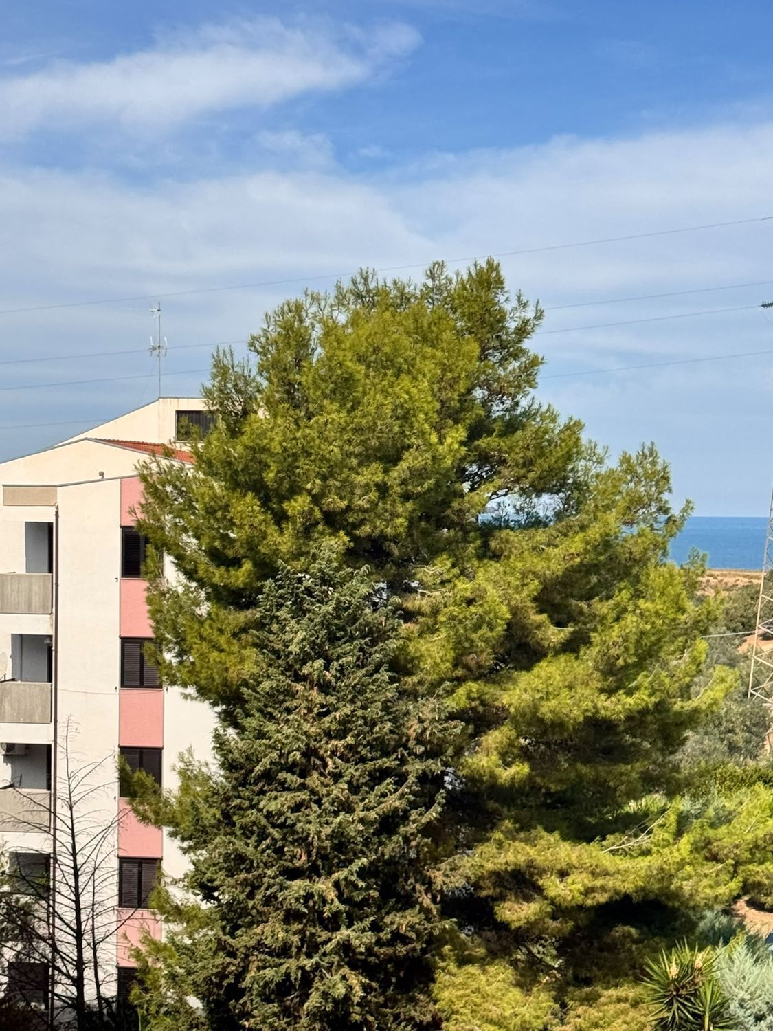 Quadrilocale in affitto a Termoli - foto 19: Quadrilocale in affitto in Via Canada 25, Termoli